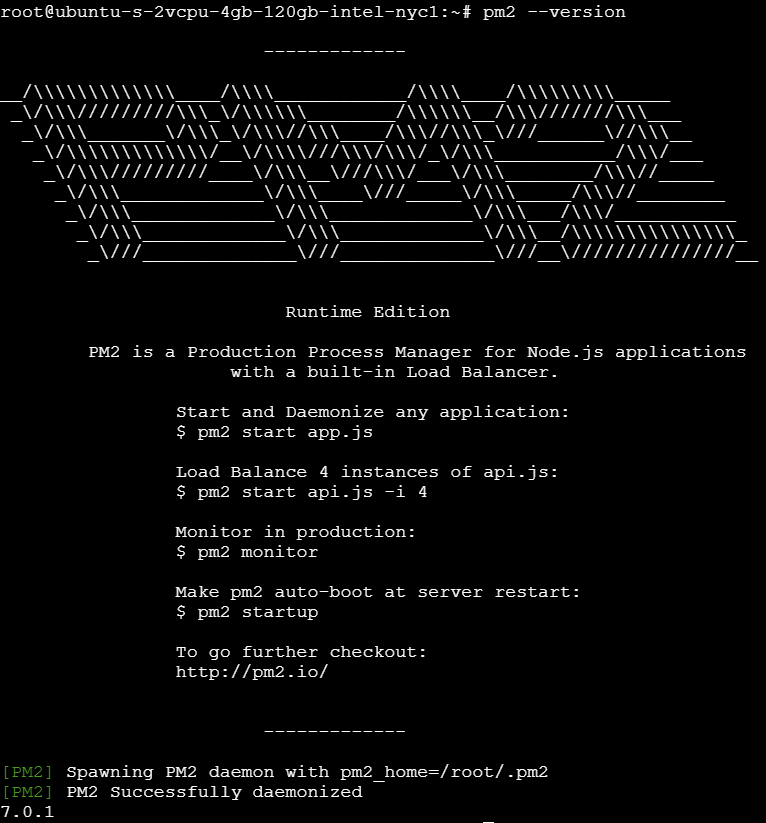 PM2 version image