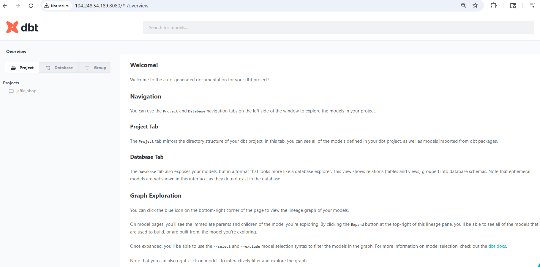 dbt docs overview page image
