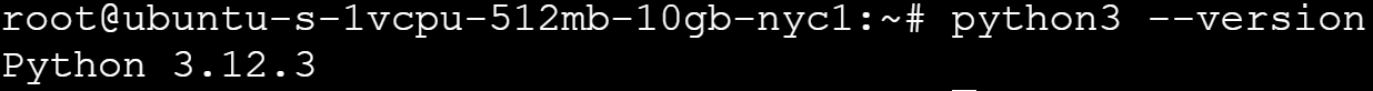 Terminal output with python version image