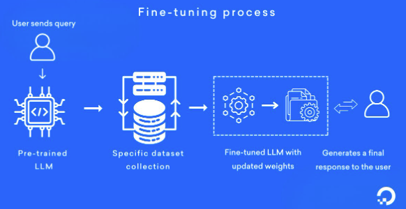 Fine-tuning